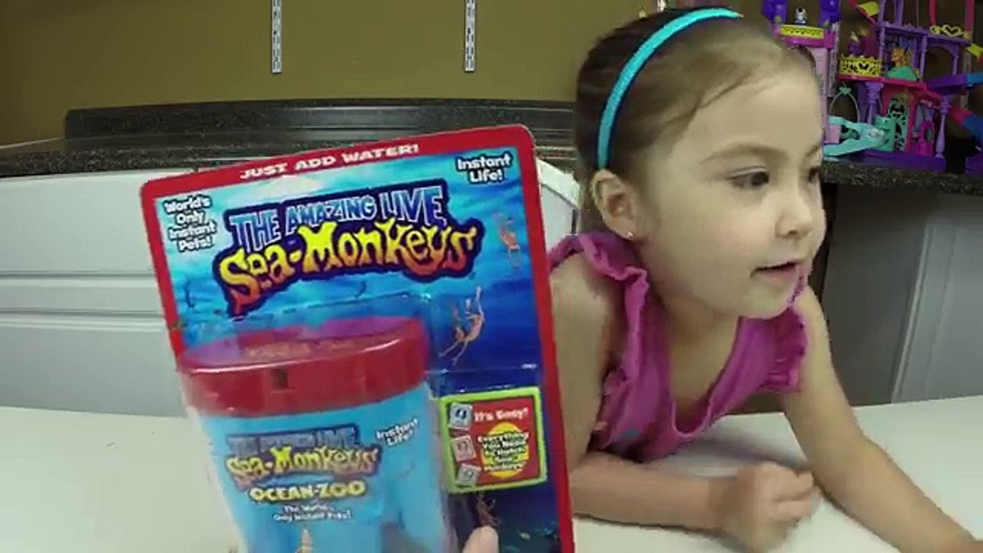 The Amazing Live Sea Monkeys! Cute & Easy Pets for Kids | Fun Kids Activity Review