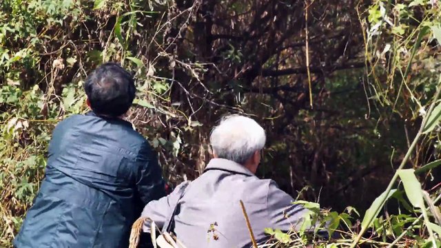 Восточная Молния | Христианский фильм «Тайна благочестия. Продолжение» Господь Иисус – Сын Божий или Сам Бог?