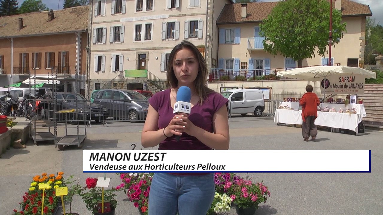 D!CI TV : du monde à la foire aux plants de Seyne