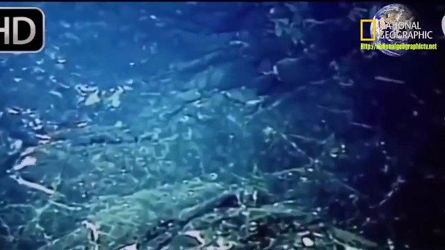 The DEADLIEST Swords in The World: CURSED Samurai Muramasa Blades part 1/2