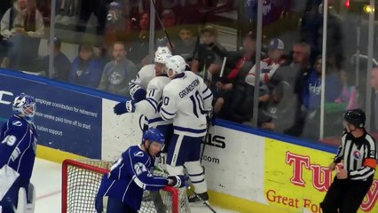 AHL Toronto Marlies 7 at Syracuse Crunch 1