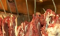 Impor Daging Sapi Brasil Tunggu Laporan Kementan