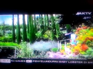 ada ada aja JAK TV