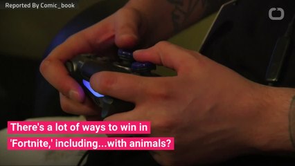 How A Fly Won A Round Of Fortnite