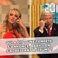 Qui a dit: «Une tempête s'annonce, baby» en s'adressant à Donald Trump?