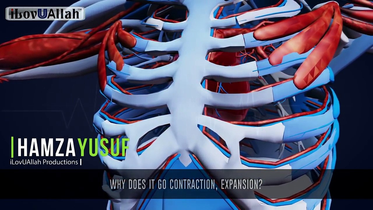 The Heart Says Allah _ _Miracle Of Allah_