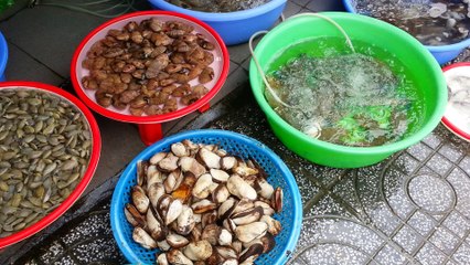 Hải Sản cầu Rạch Dừa Vũng Tàu 2018