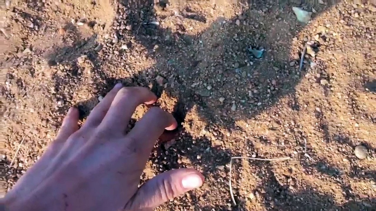 Naked and Afraid XL S04E01 All-Stars-Hunted Humans