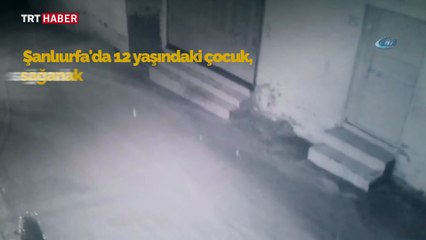 Sele kapılan çocuğun hayatını vatandaş kurtardı