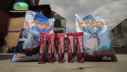 Alagang Magaling S9 EP7 - EL KAMPEON - AGAPITO MABANSAG