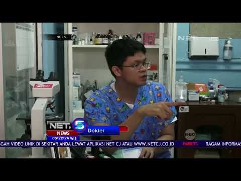 Kucing Antre Diperiksa Kesehatan di Posyandu Kucing - NET 5