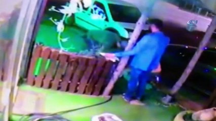 Yolun karşısına geçmeye çalışan köpeğe böyle çarptı