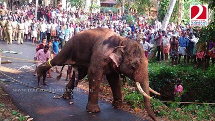 Nautical care New rules