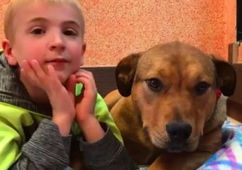 Boy Determined to Save Rescue Dogs Pleads for New Home for Canine Friend