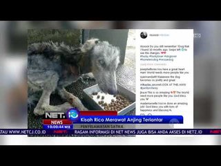 Kisah Rico Merawat Anjing Terlantar Jadi Perhatian Netizen - NET 10