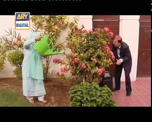 bulbulay dakoo part  165 nabeel ka fradi uncle