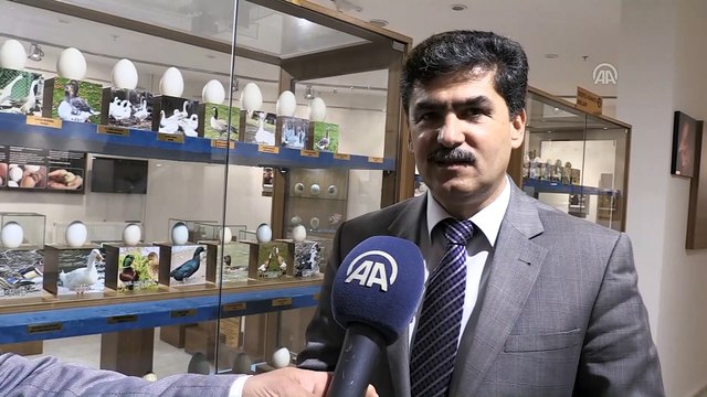 Türkiye'nin ilk 'Yumurta Müzesi' gün sayıyor - AFYONKARAHİSAR