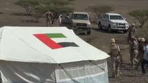 الإمارات تعتبر بيان الحكومة اليمنية تصعيدا ضدها
