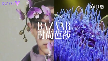 Vu Mông Lung vẽ đẹp thật Mông Lung trên tạp chí Bazaar