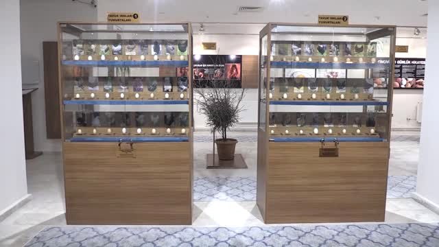 Türkiye'nin İlk Yumurta Müzesi Gün Sayıyor