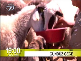 gunduz gece