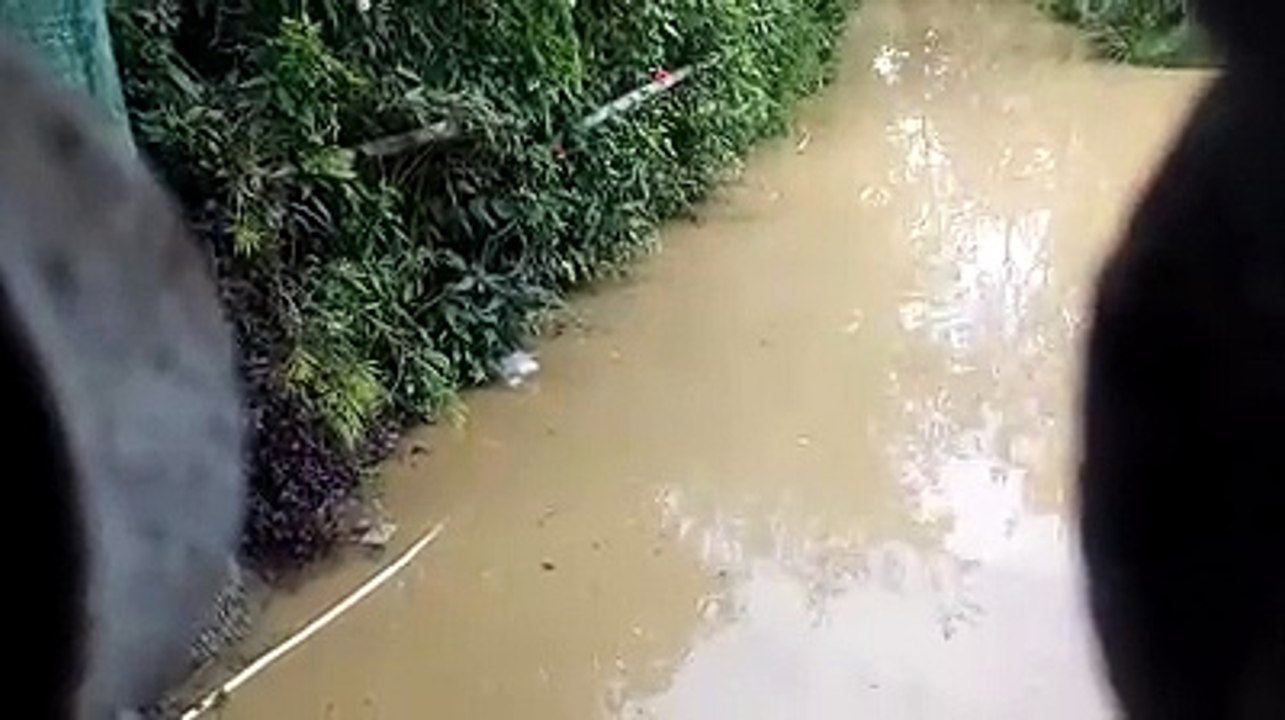 Something moving on water