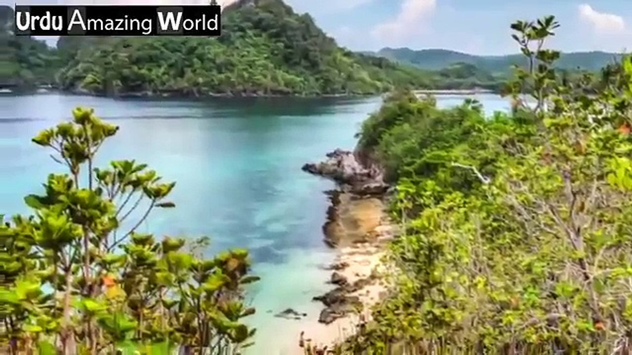 Snake Island Brazil Documentary In Urdu - Most Amazing Place on Earth - Urdu Amazing World - watch for my dailymotion Channel Pakistanfaisal991
