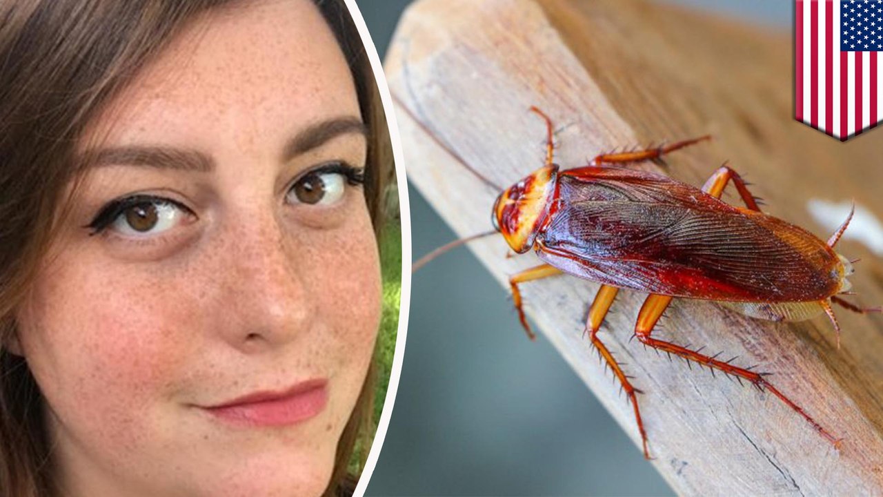 Roach bugs woman by crawling in her ear and not coming out