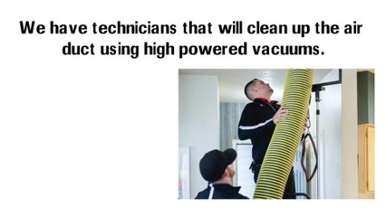 Loyalty Air Duct And Carpet Cleaning Avondale