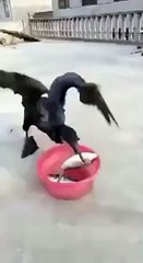 Don't Disturb Me ! I m Hungry...!