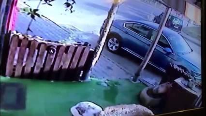Aracın Çarptığı Köpeğin Telef Olması Güvenlik Kamerasında