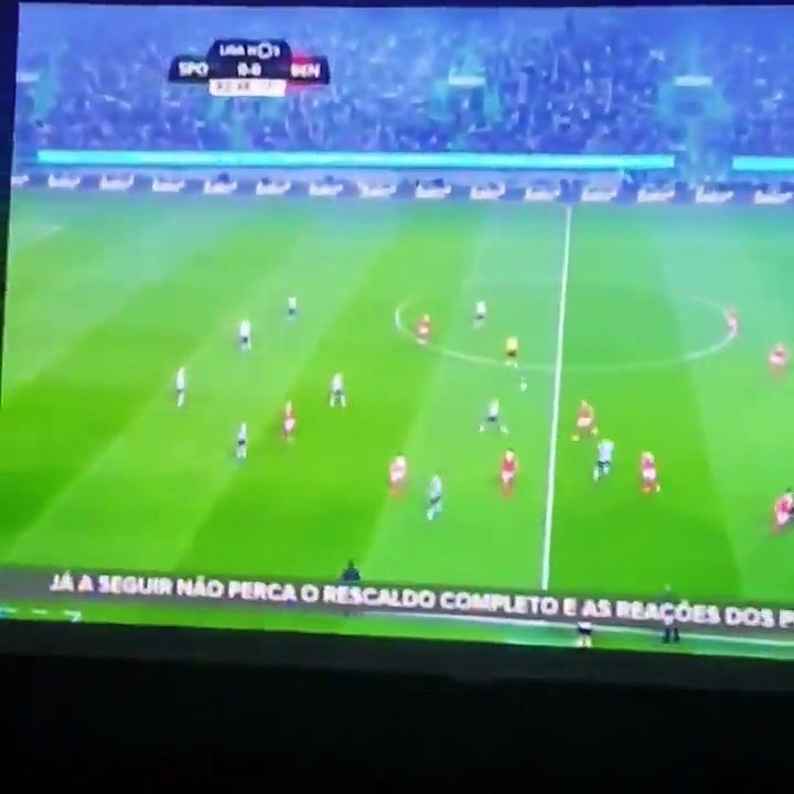 10000000_639140473088084_7272876273611833344_n