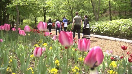 포근한 5월 연휴...나들이 인파 몰려 / YTN