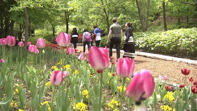 포근한 5월 연휴...나들이 인파 몰려 / YTN