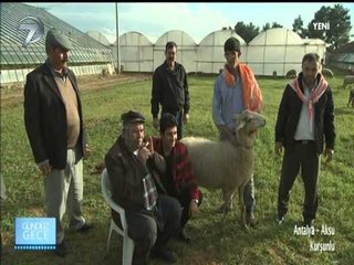 GÜNDÜZ GECE - ANTALYA - 7 ŞUBAT 2015