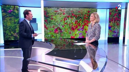 Environnement : les astuces pour jardiner sans pesticides