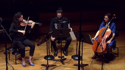 Philippe Hersant | Apparitions  par le Trio Fauve