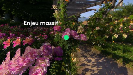 [BA] Villages fleuris, un trophée qui vaut de l'or - 13/05