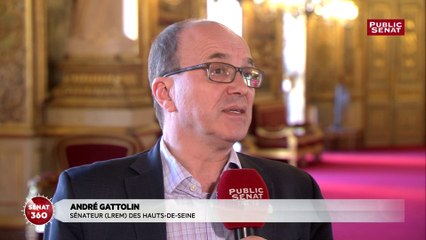 APL: André Gattolin « pas particulièrement choqué » par « la petite phrase » d’Emmanuel Macron