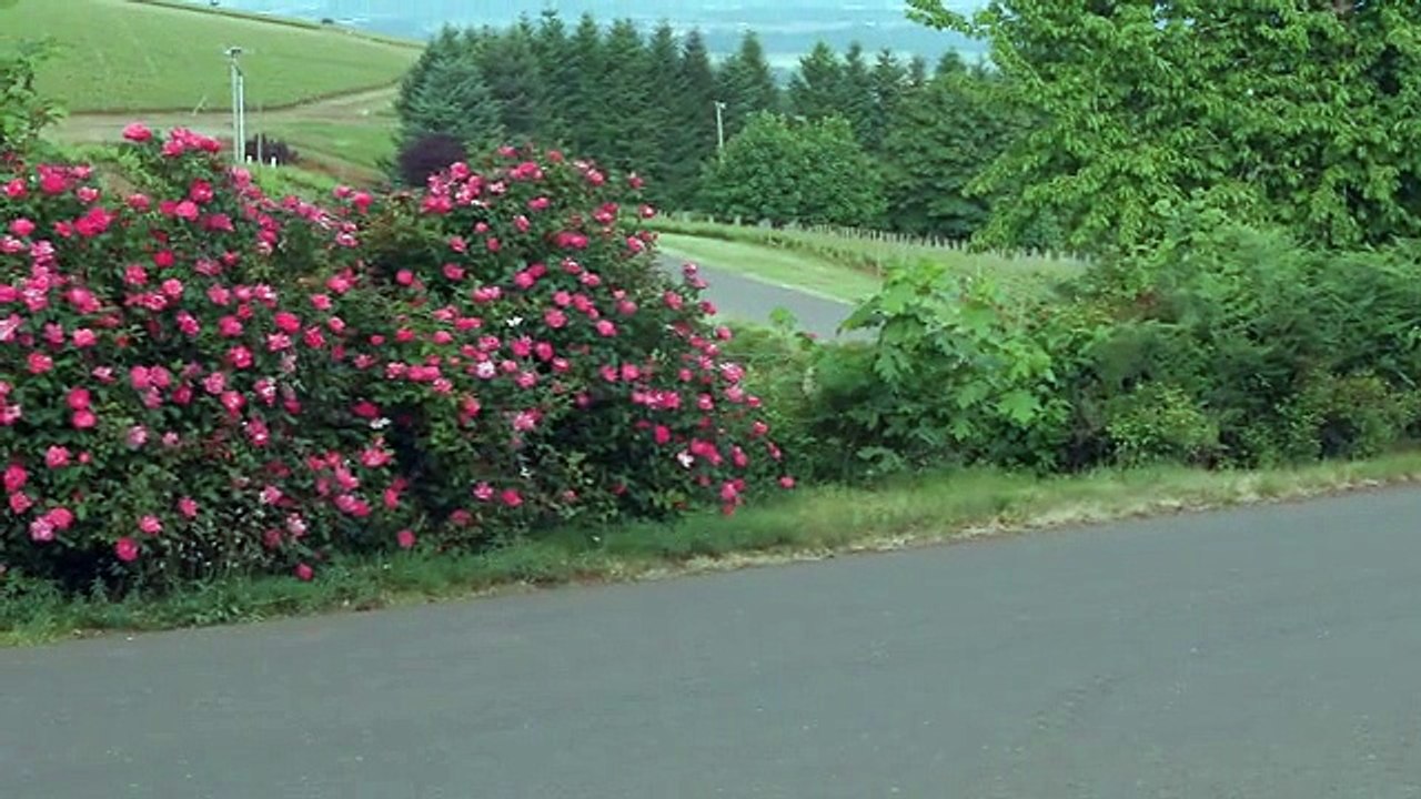 2018 Toyota Camry Cookeville, TN | Toyota Camry Manchester, TN