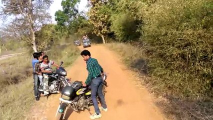 Tiger Passing very near to Bikers...!!!Lucky Bikers escape from Tiger attack...!!!!