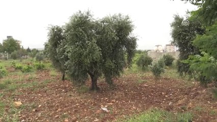 Kaybolan Alzaymır Hastası Yaşlı Kadın Bulundu