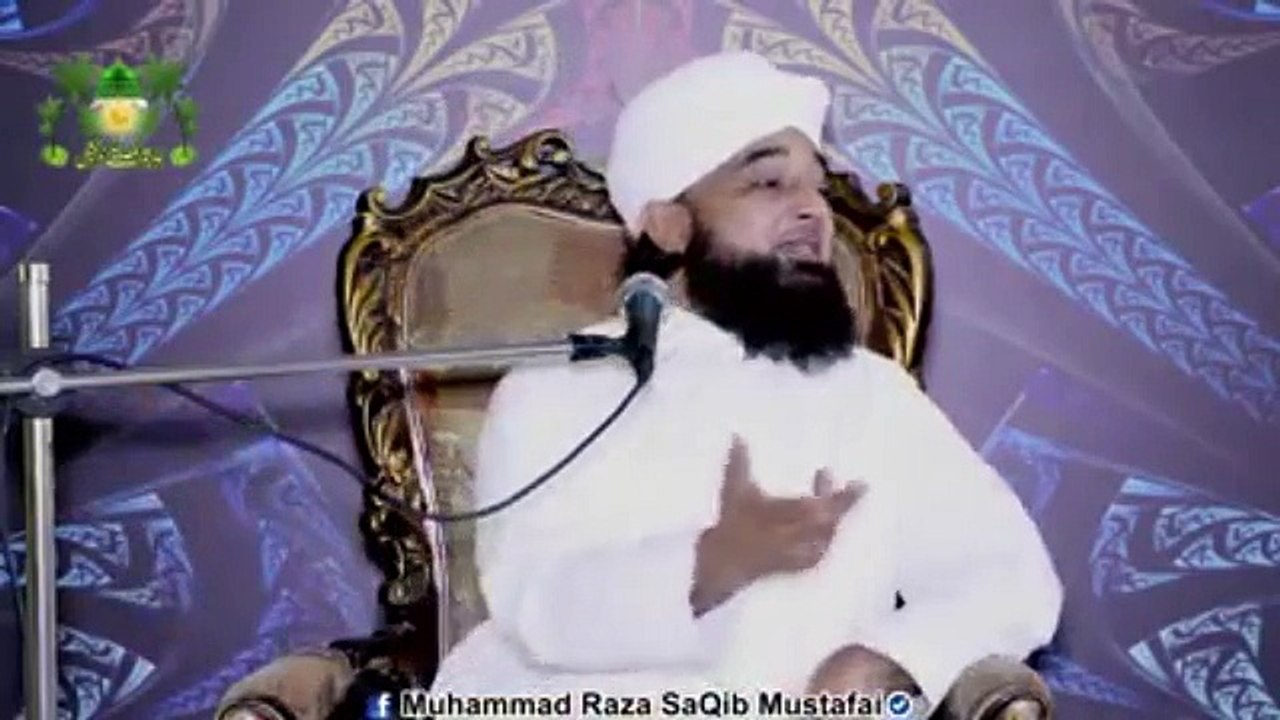 Muhammad Raza Saqib Mustafai (374)