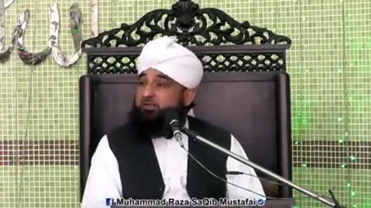 Muhammad Raza Saqib Mustafai (377)