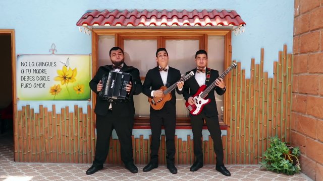 Pura Madre (Canción para mamá) Los Tres Tristes Tigres