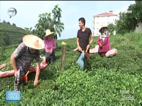 Gündüz Gece - Trabzon - 1 Ekim 2016
