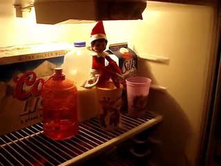 Elf on the Shelf Freak Out