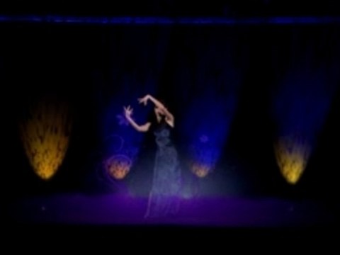 Best of Hologramme.Show holographique d'IVS.1er prix Heavent