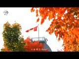 Dünyayı Geziyorum - 27 Kasım Kanada Tanıtım