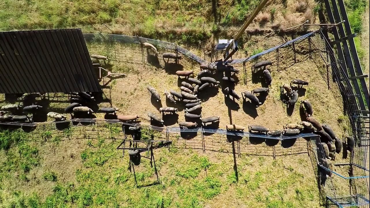 At the Fork Trailer #1 (2016)